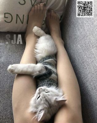 国产玖玖新资源_日韩资源完整版BD高清中字