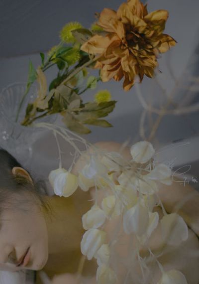 欧美日韩中文在线视频_BD国语HD在线观看