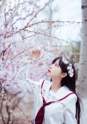 正规成人啪啪动漫_720神马影院在线